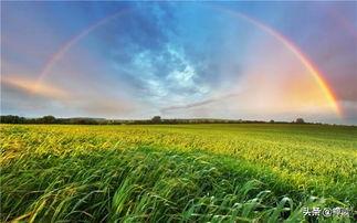 雨后彩虹爆料视频大全集,揭秘大自然奇观视频大全集  第3张